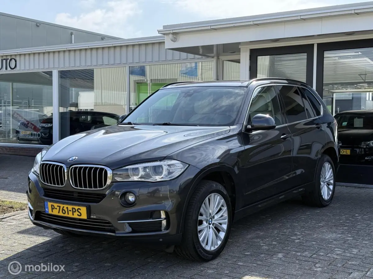 sDrive25d High Executive / Leder / Xenon / Navigatie