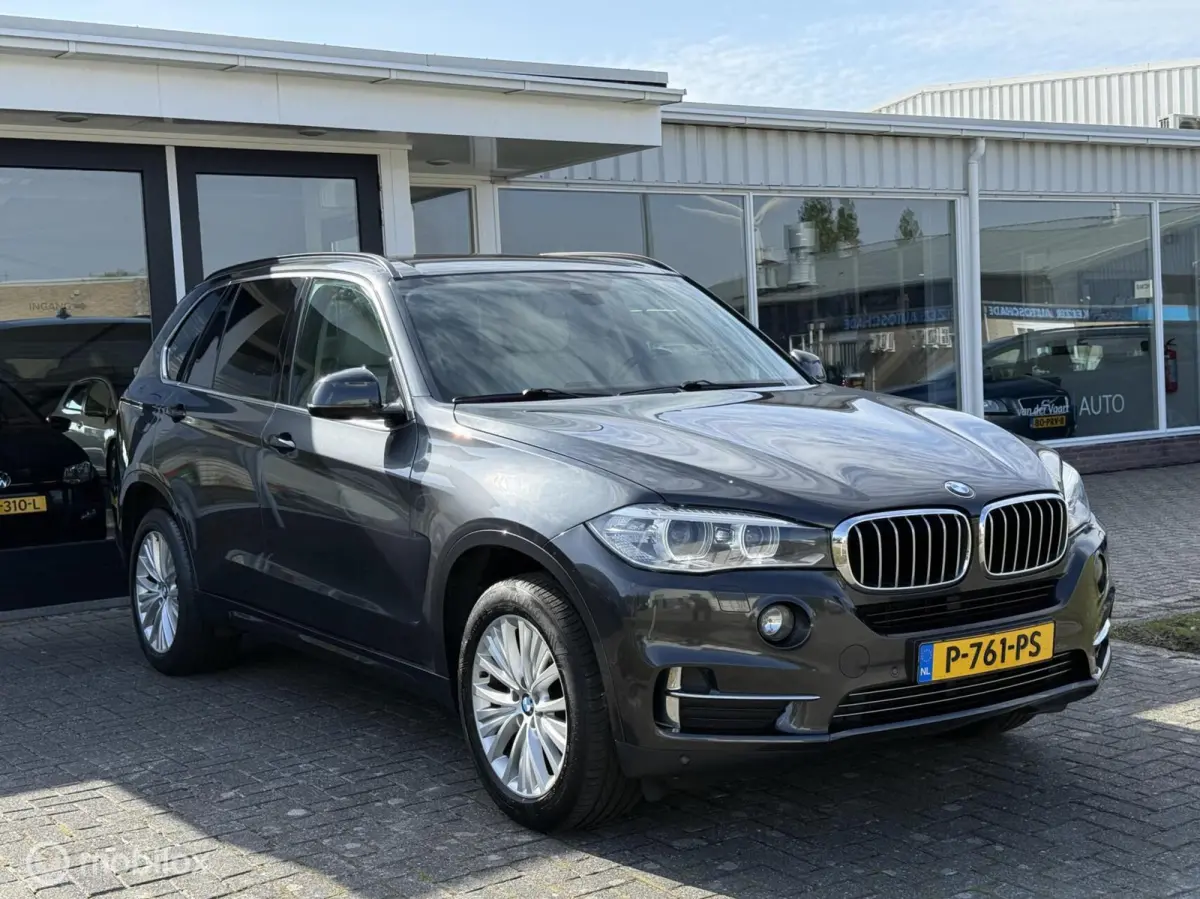 sDrive25d High Executive / Leder / Xenon / Navigatie