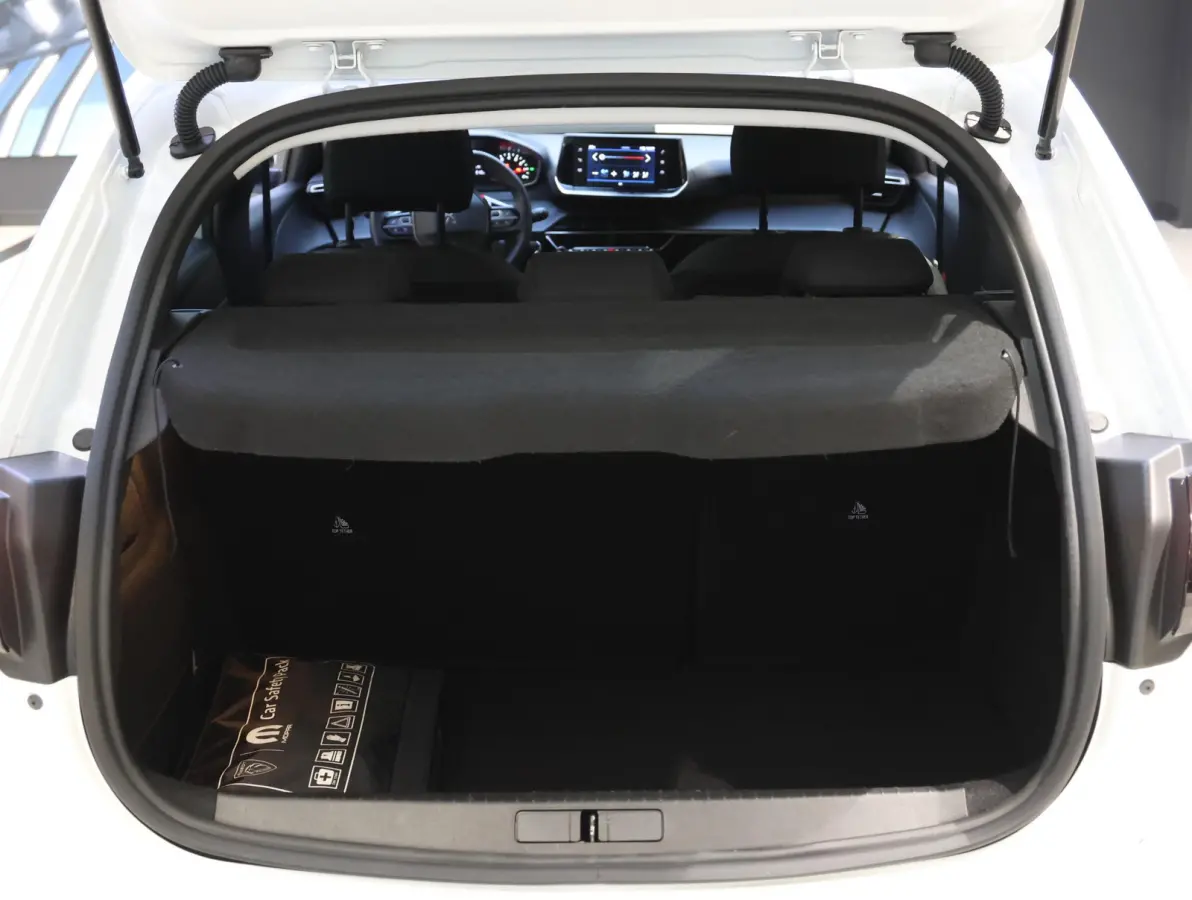 Active 75 pk | CarPlay | Airconditioning | Cruise Control