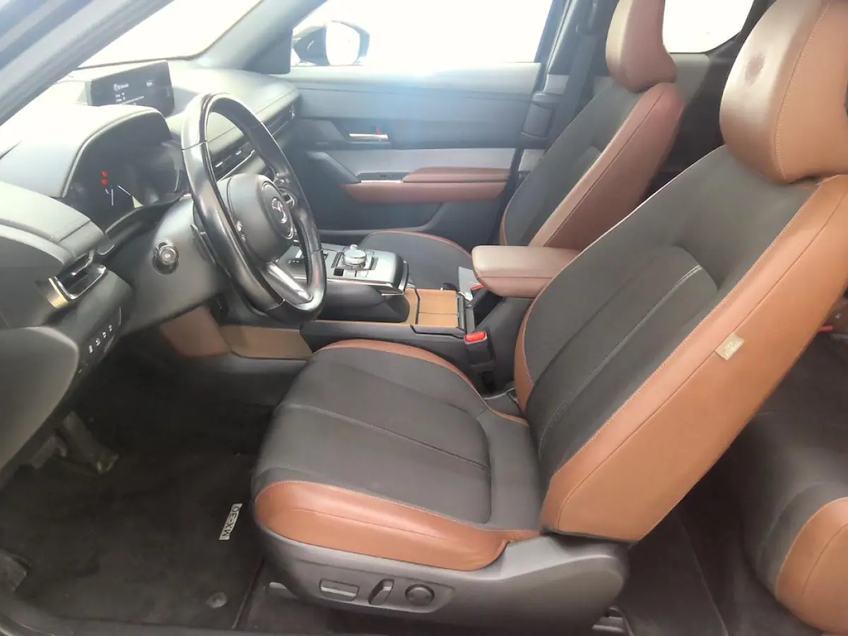 E-SkyActiv EV 145| Makoto Premium Pack| LUXE|PANO|