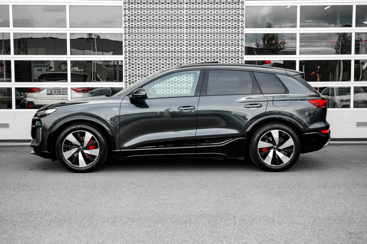 S edition 100 kWh | Panoramadak | Luchtvering | Bang & Olufsen | HUD |