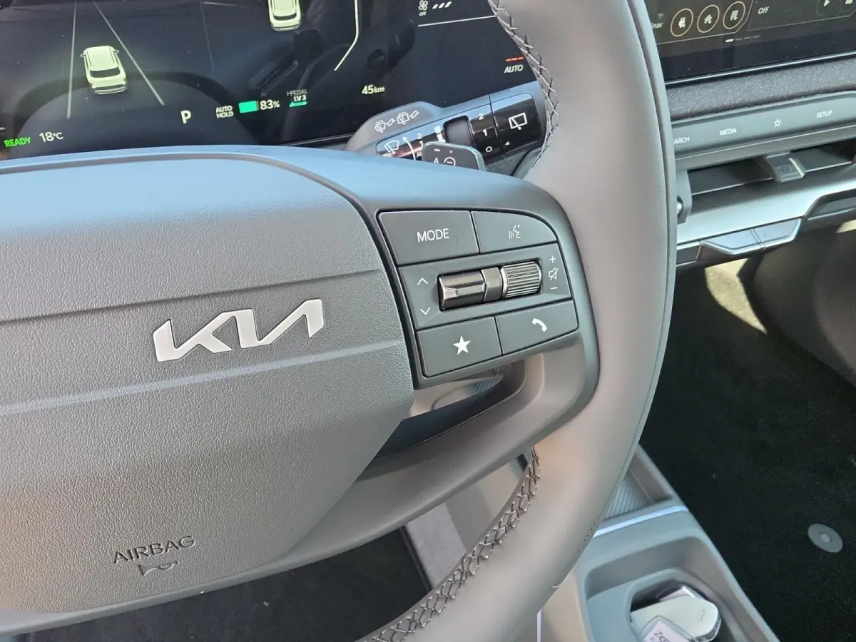 Plus 42.2 kWh | Navigatie | Climate control | Stoel + Stuurverwarming | Parkeer sensoren voor + achter | Parkeer camera achter | DEMO