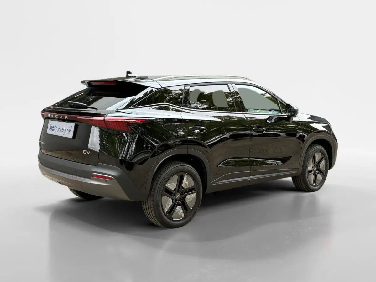 Premium 61 kWh Nieuw uit voorraad leverbaar