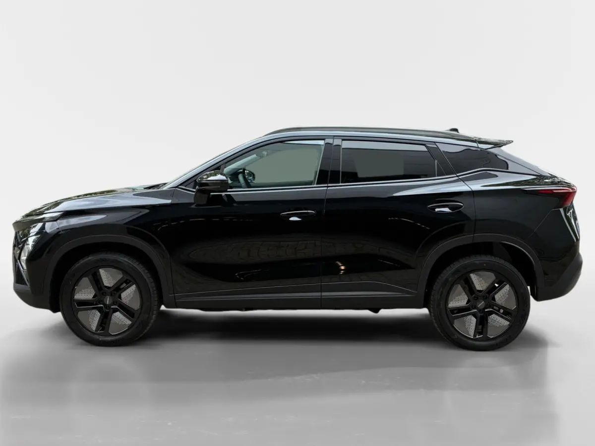 Premium 61 kWh Nieuw uit voorraad leverbaar