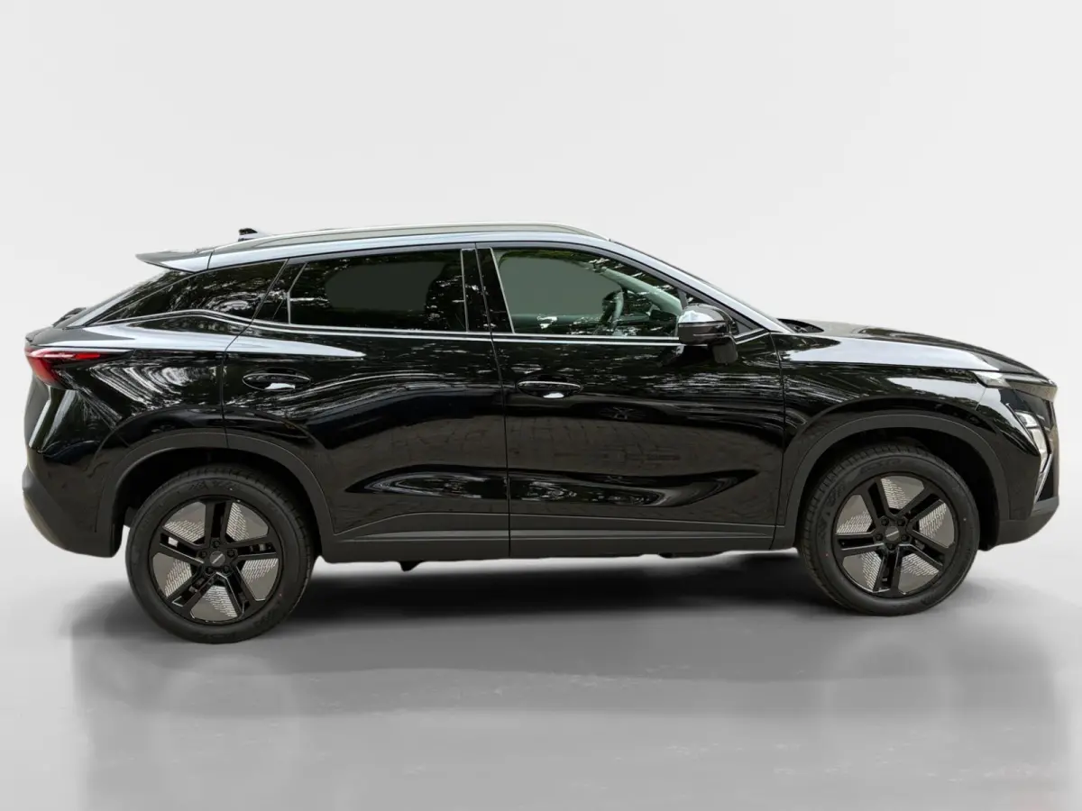 Premium 61 kWh Nieuw uit voorraad leverbaar
