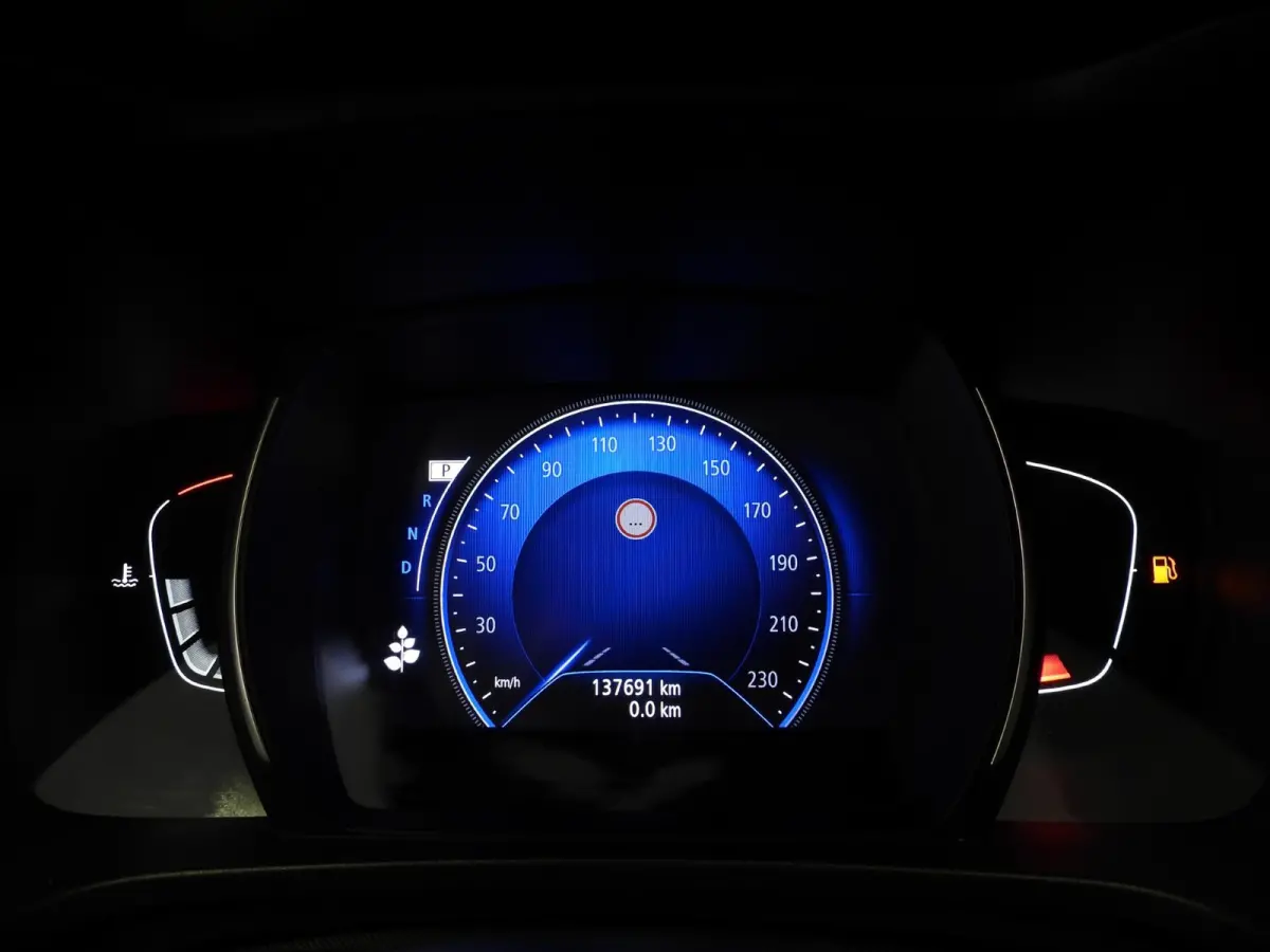 1.3 TCe Aut. Intens NAVI/CAMERA/PANODAK/LED/19"LMV!