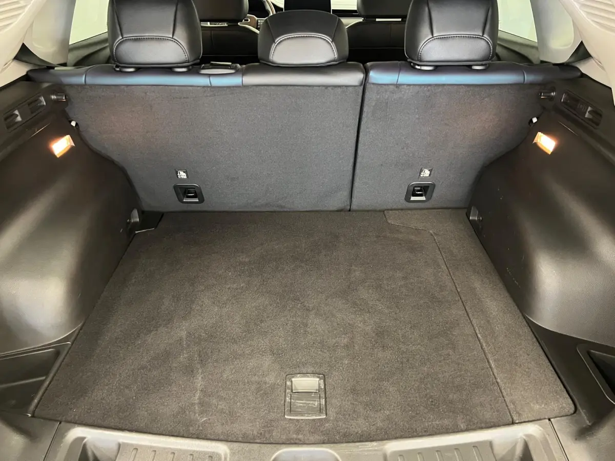 4xe 240 PK / PLUG-IN HYBRID ELECTRIC / UPLAND / NAVI / LEDER / STOEL-STUURVERW. /