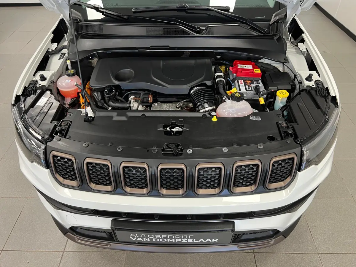 4xe 240 PK / PLUG-IN HYBRID ELECTRIC / UPLAND / NAVI / LEDER / STOEL-STUURVERW. /