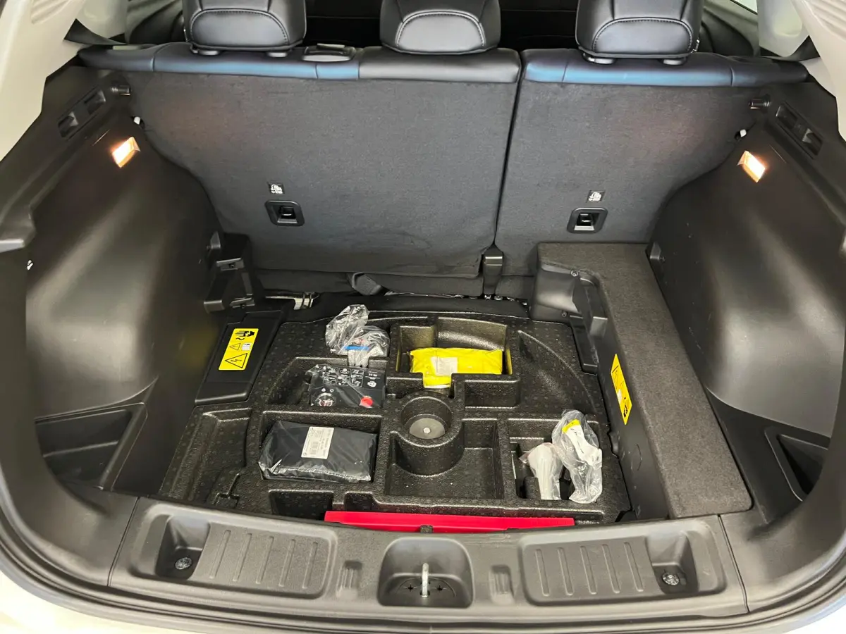 4xe 240 PK / PLUG-IN HYBRID ELECTRIC / UPLAND / NAVI / LEDER / STOEL-STUURVERW. /