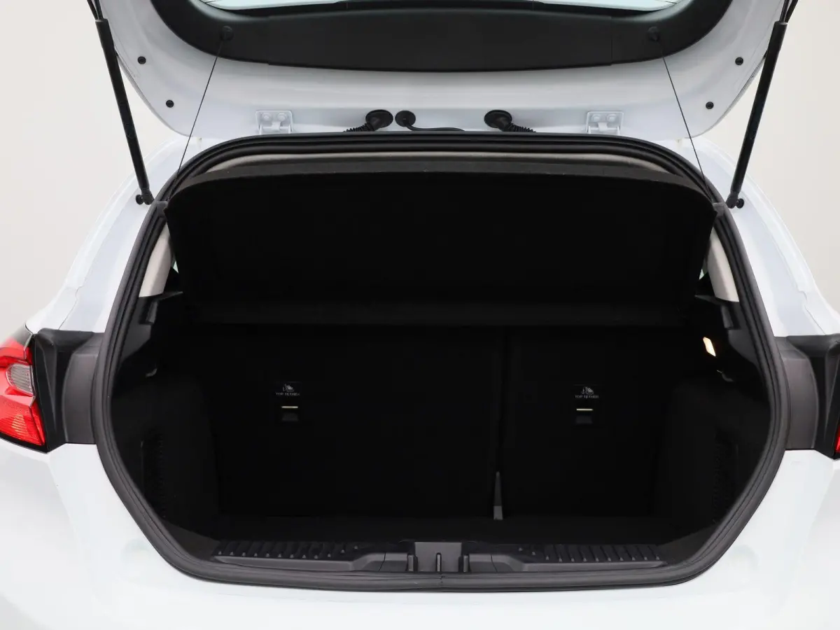1.0 EcoBoost Hybrid Titanium | CLIMATE CONTROL | PARKEERSENSOREN | APPLE CARPLAY | CRUISE CONTROL | LMV |