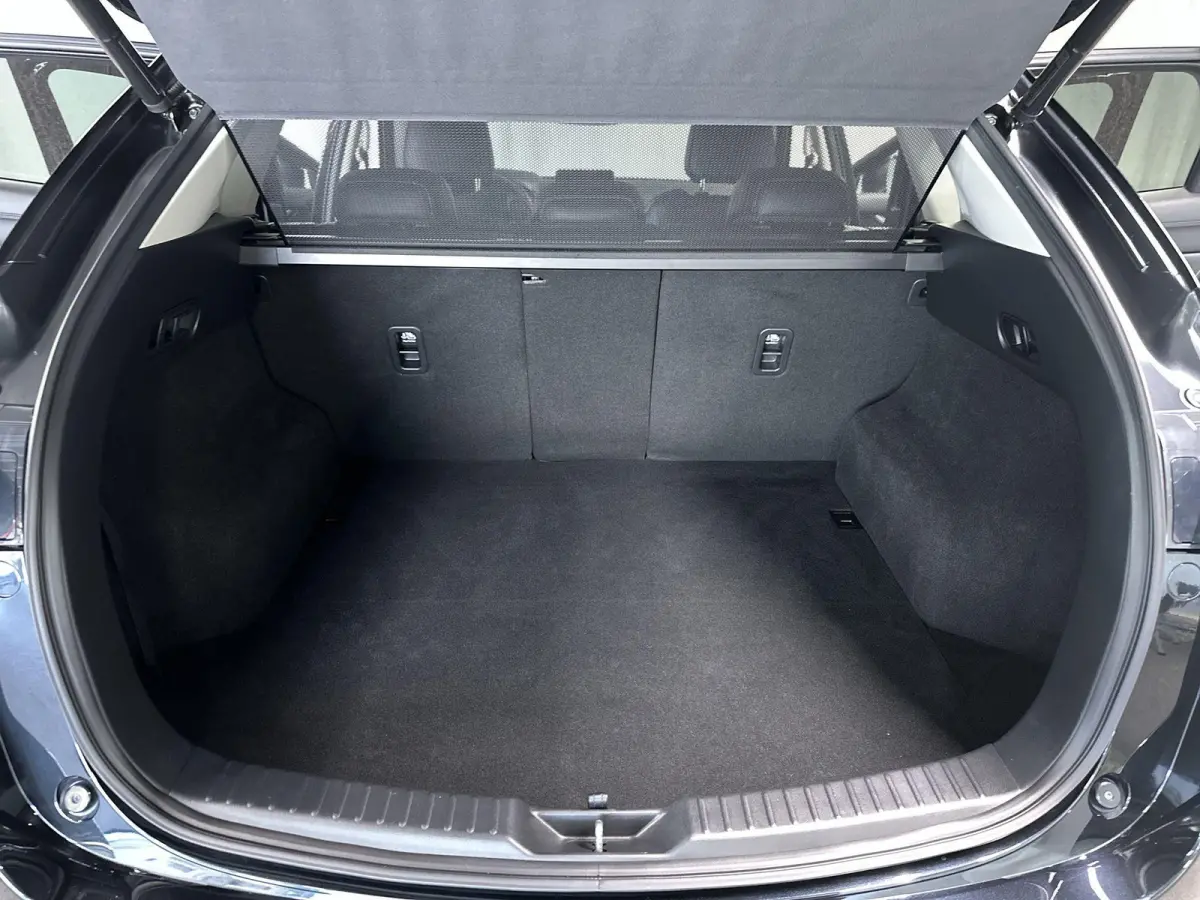 2.5 SkyActiv-G 194 Luxury Automaat | Leder | Bose | Schuifdak