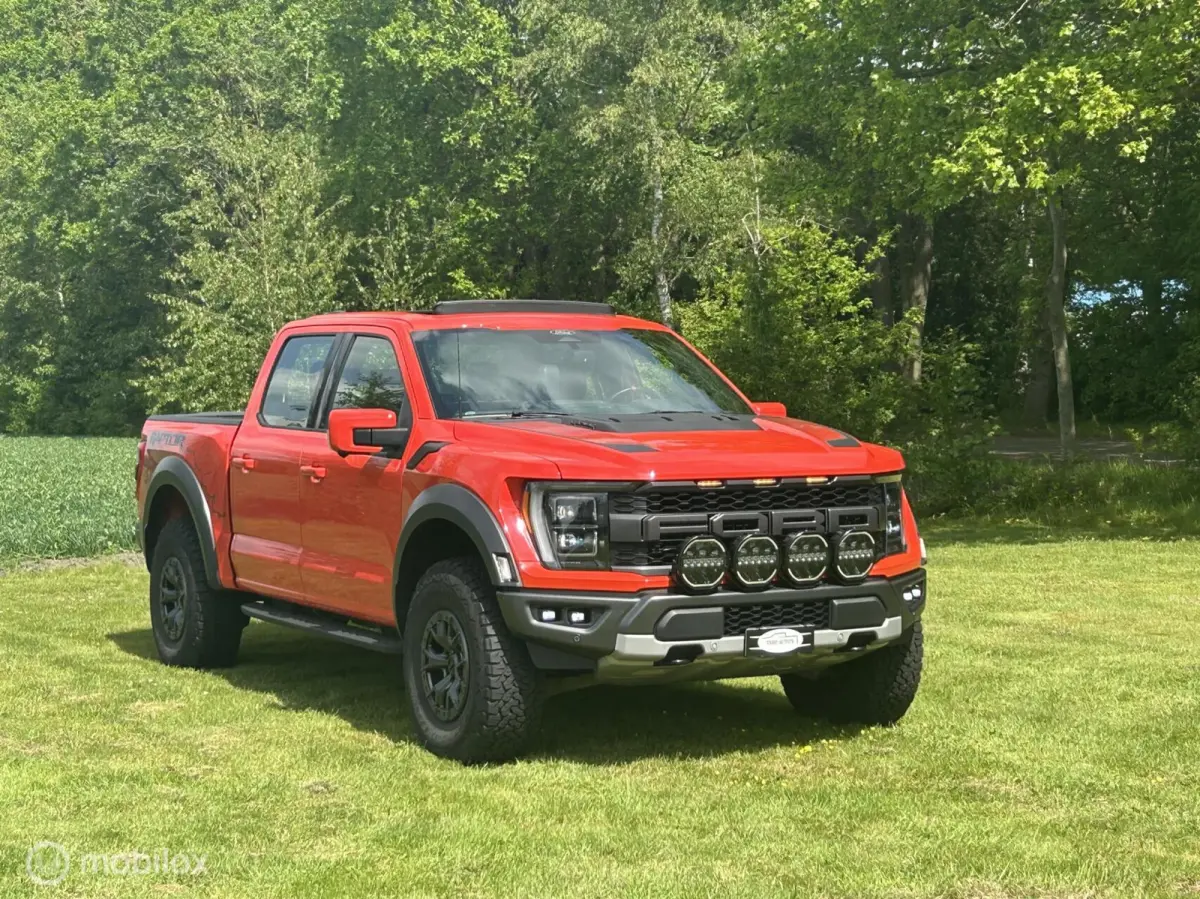 USA Raptor