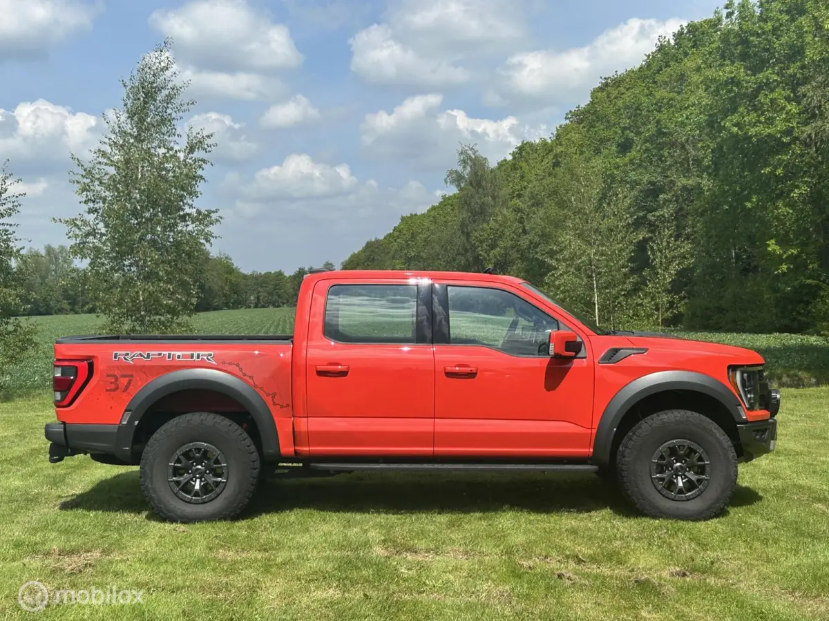 USA Raptor
