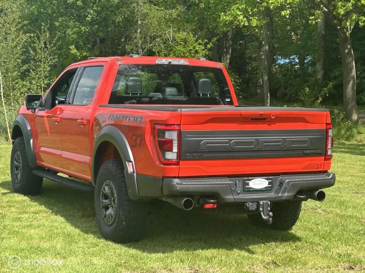 USA Raptor