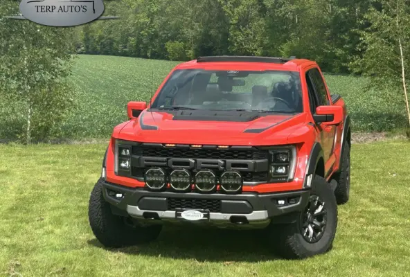 USA Raptor