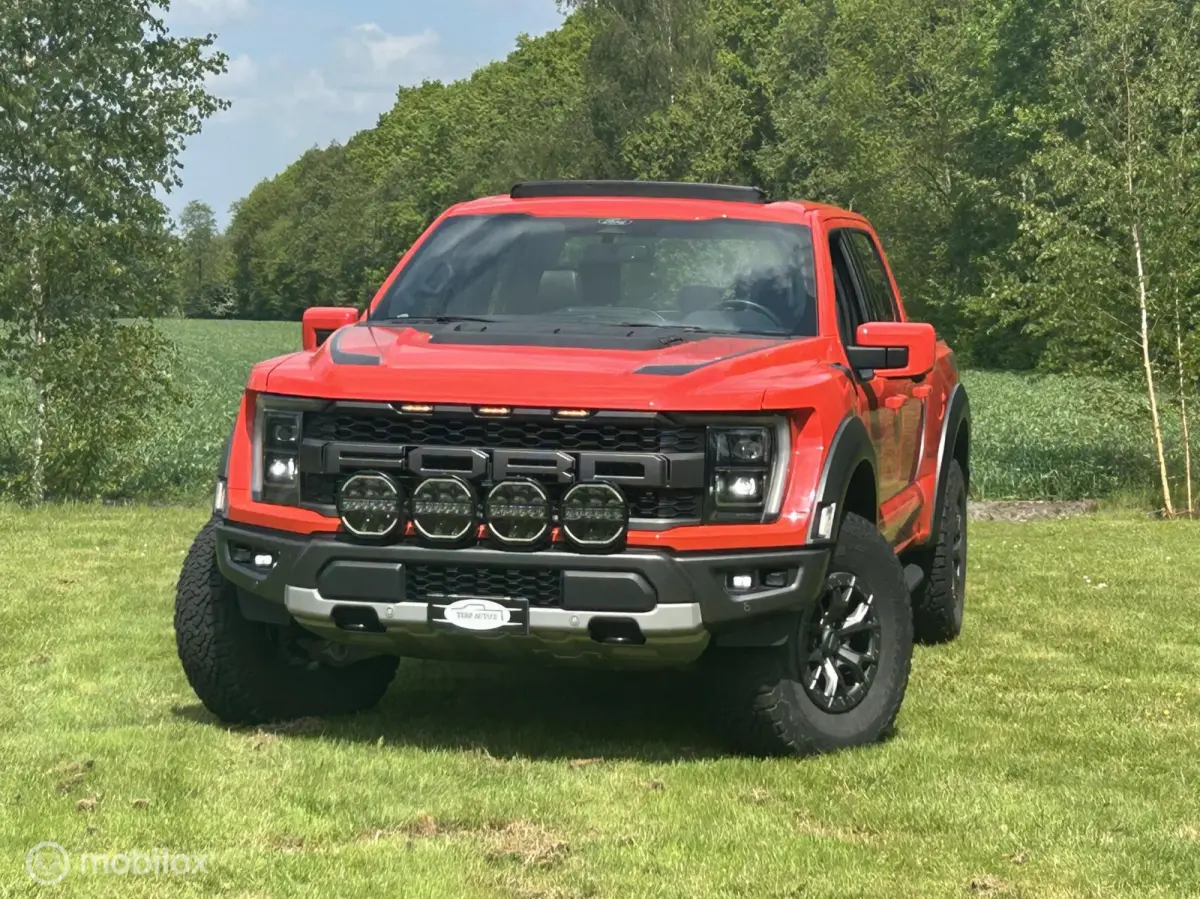 USA Raptor