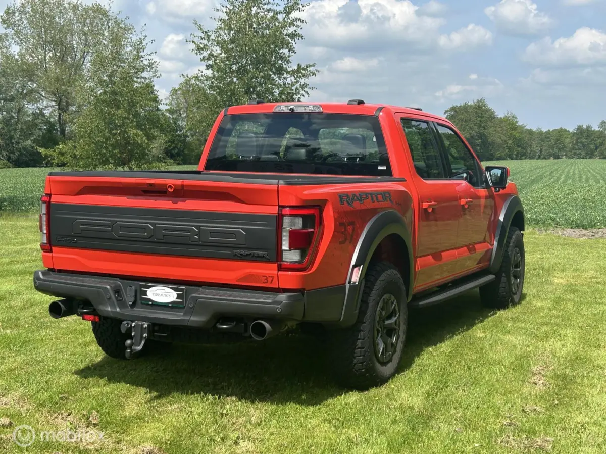 USA Raptor