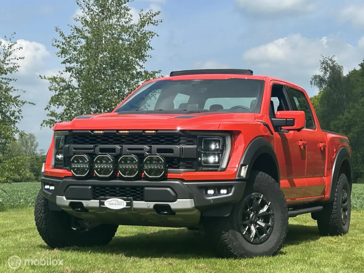 USA Raptor