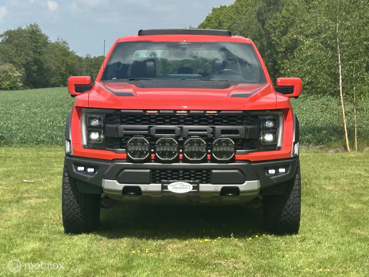 USA Raptor