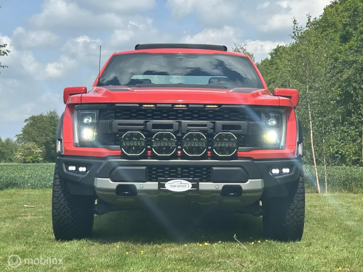USA Raptor