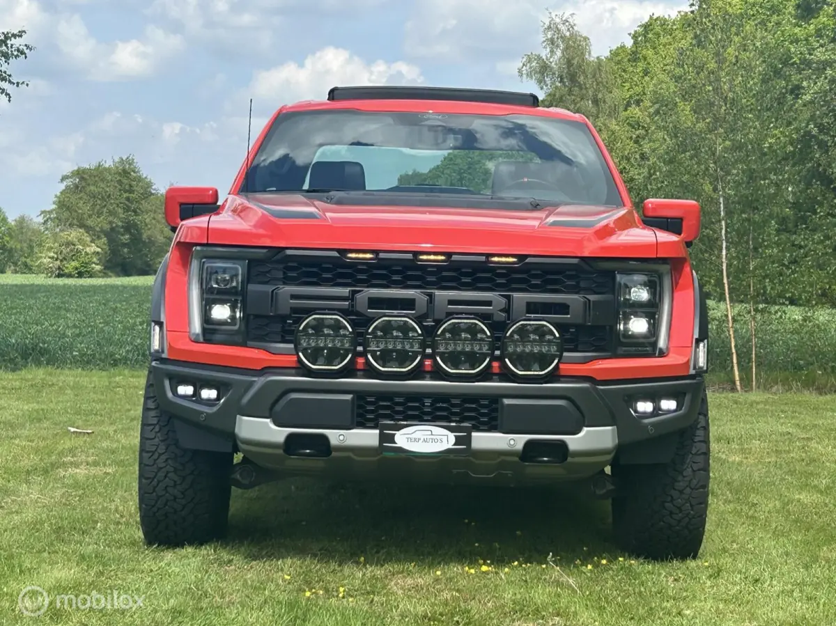 USA Raptor