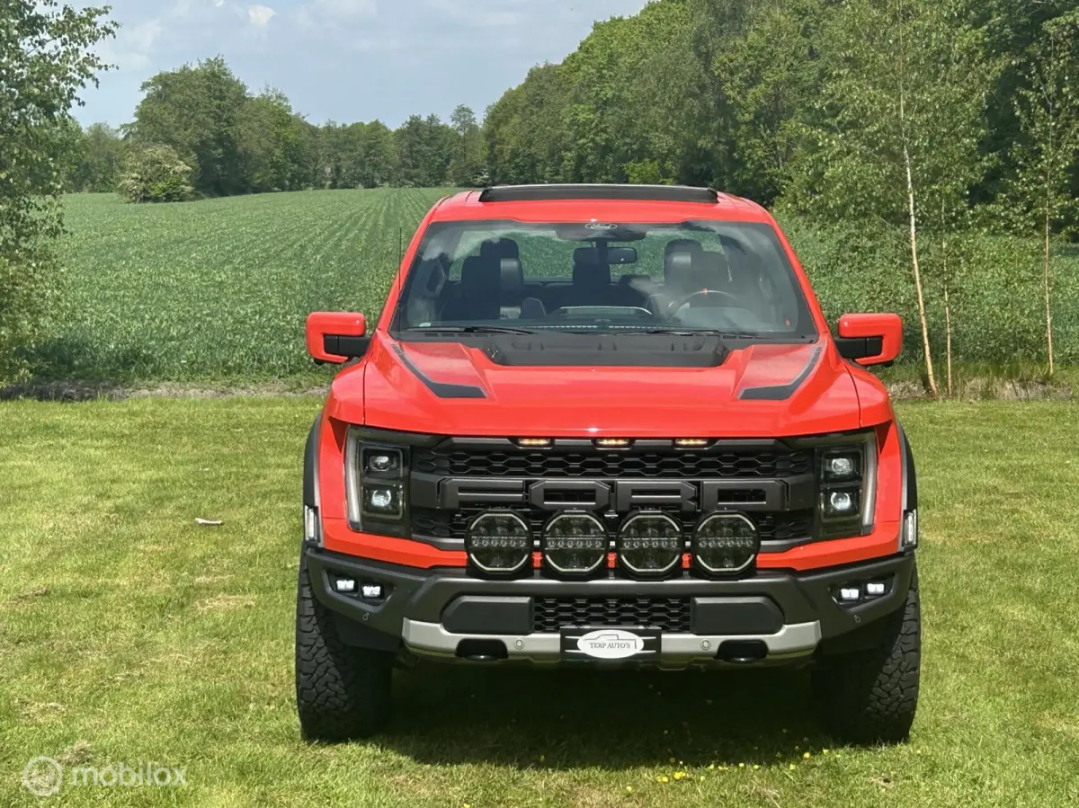 USA Raptor