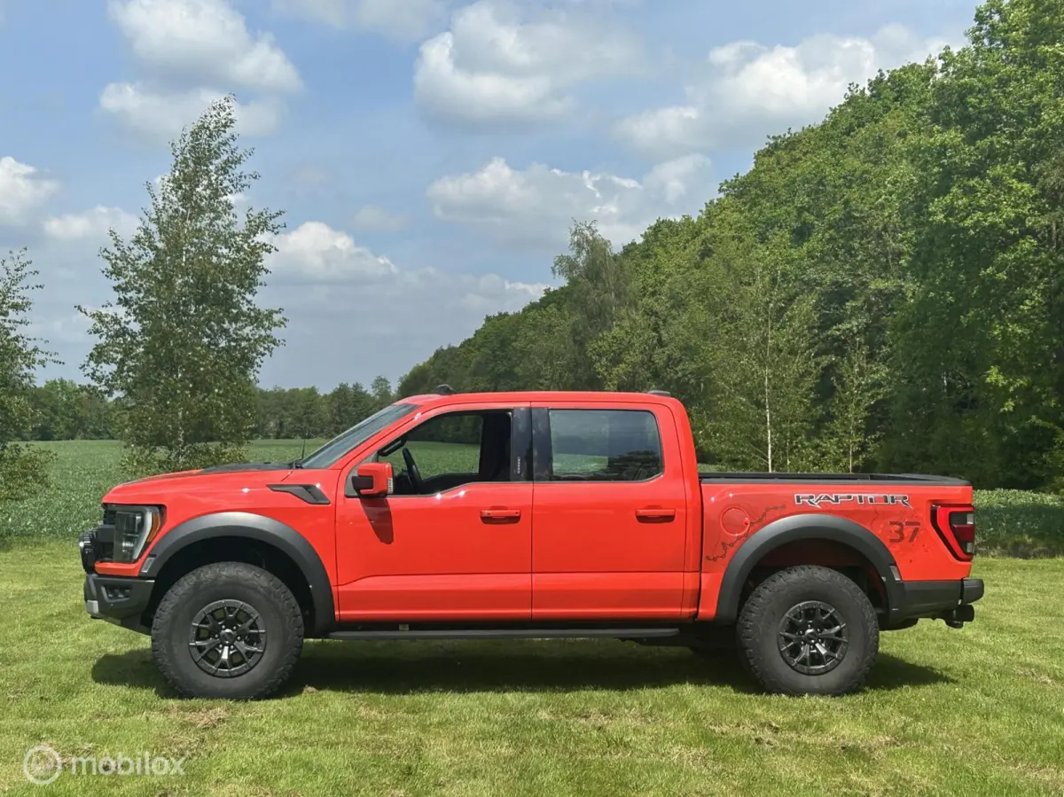 USA Raptor
