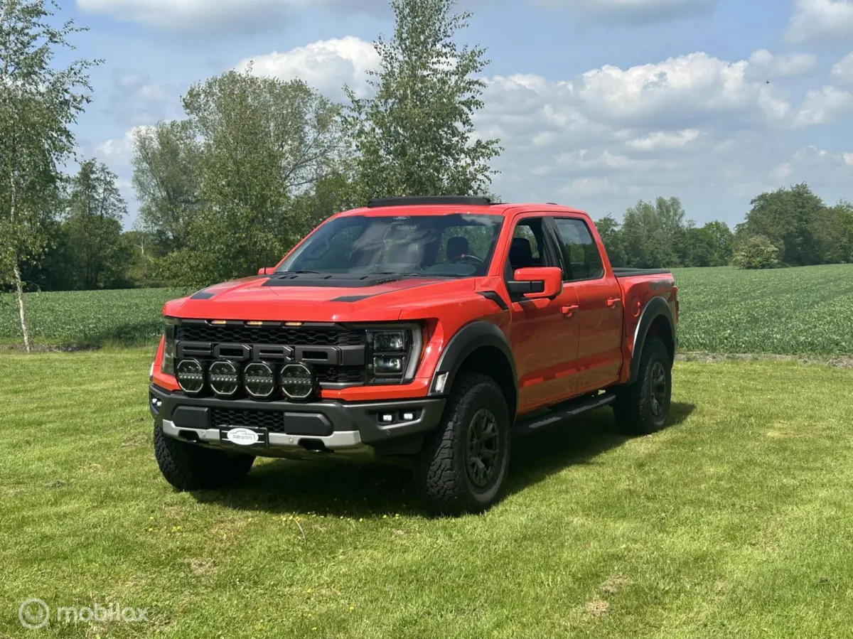 USA Raptor