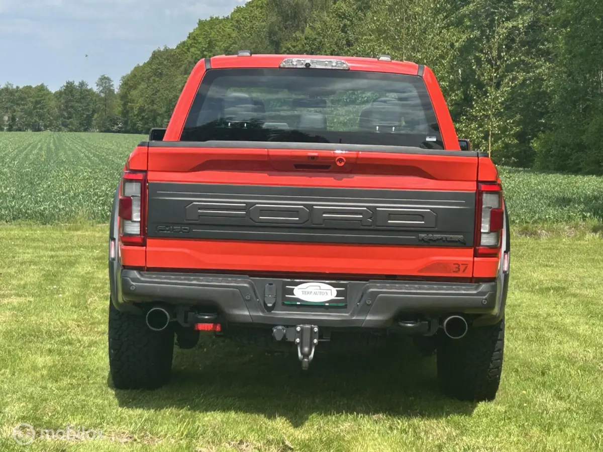 USA Raptor