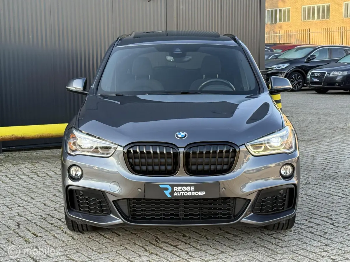 xDrive20i M-Pakket PANORAMADAK | NIEUWSTAAT