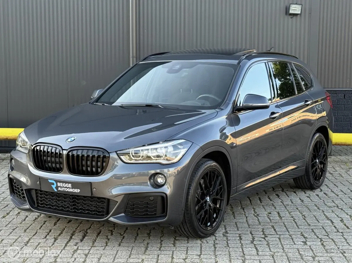 xDrive20i M-Pakket PANORAMADAK | NIEUWSTAAT