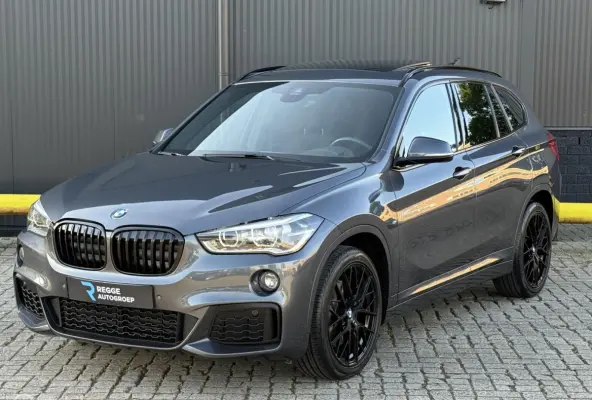 xDrive20i M-Pakket PANORAMADAK | NIEUWSTAAT