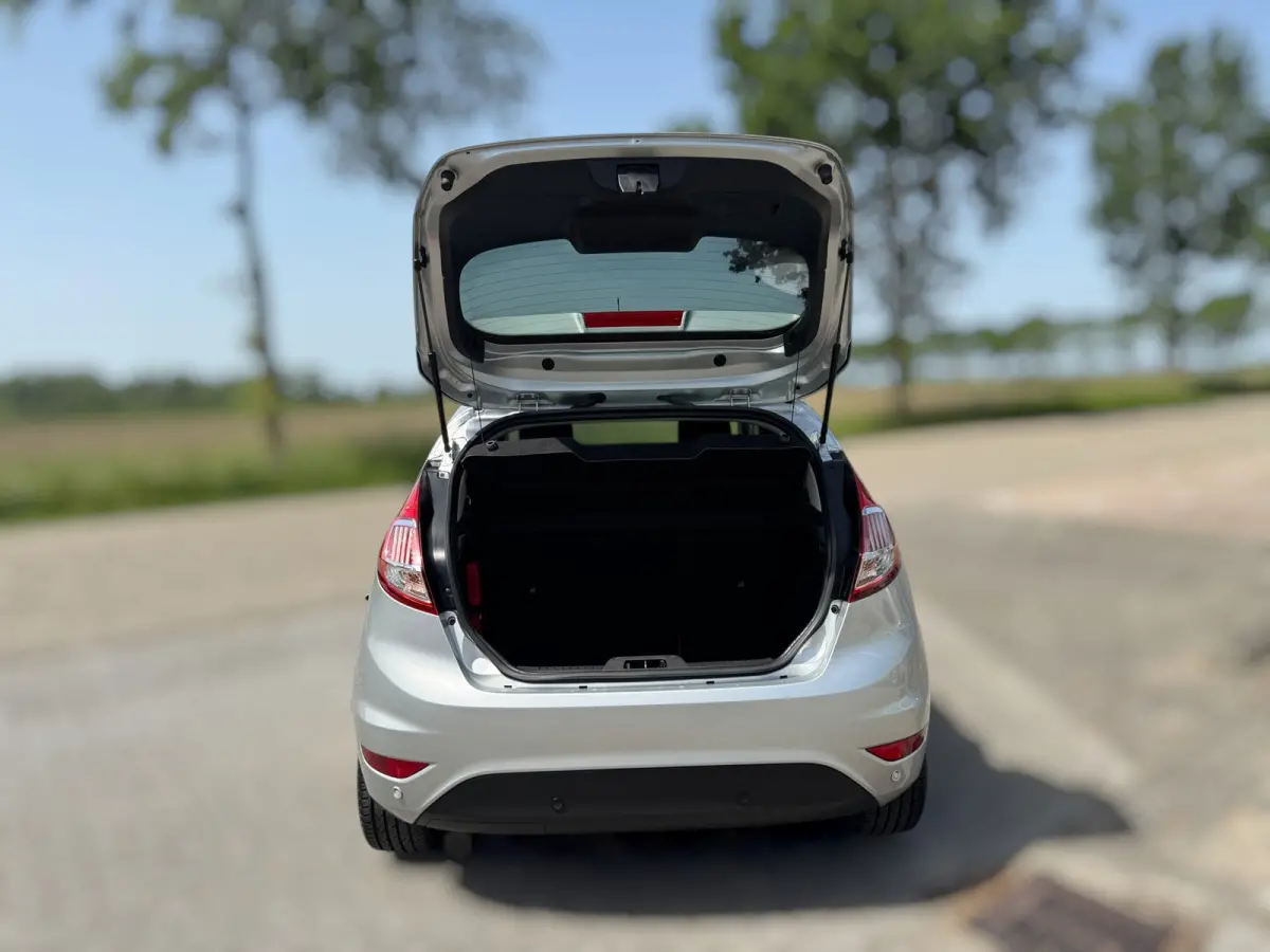 1.0 EcoBoost Titanium 1E EIGENAAR / KEYLESS GO / PDC / NAVI / CRUISE CONTROL / ZWARTE LMV /