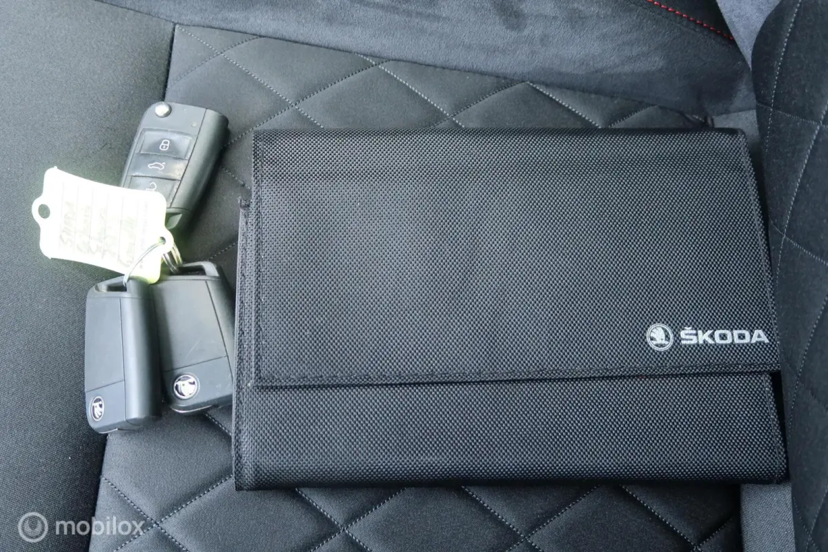 2.0 TSI RS 245 PANODAK,CANTON AUDIO,ACC