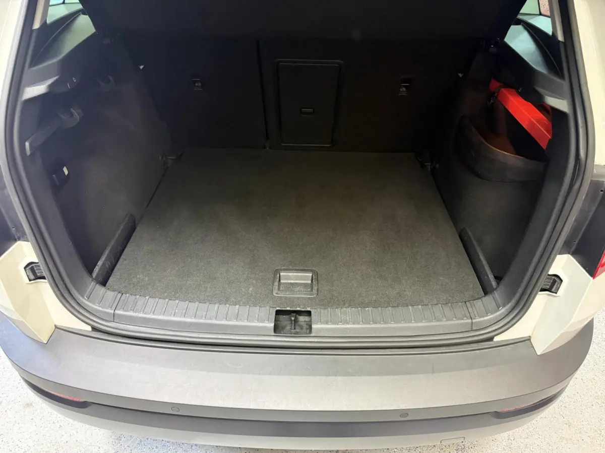 1.6 TDI Clever Edition