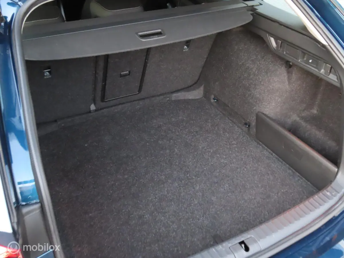 1.5 e-TSI Business Edition Plus|Electr A klep|Adaptive Cruise|Stoelverwarming|Parkeersensor V/A.