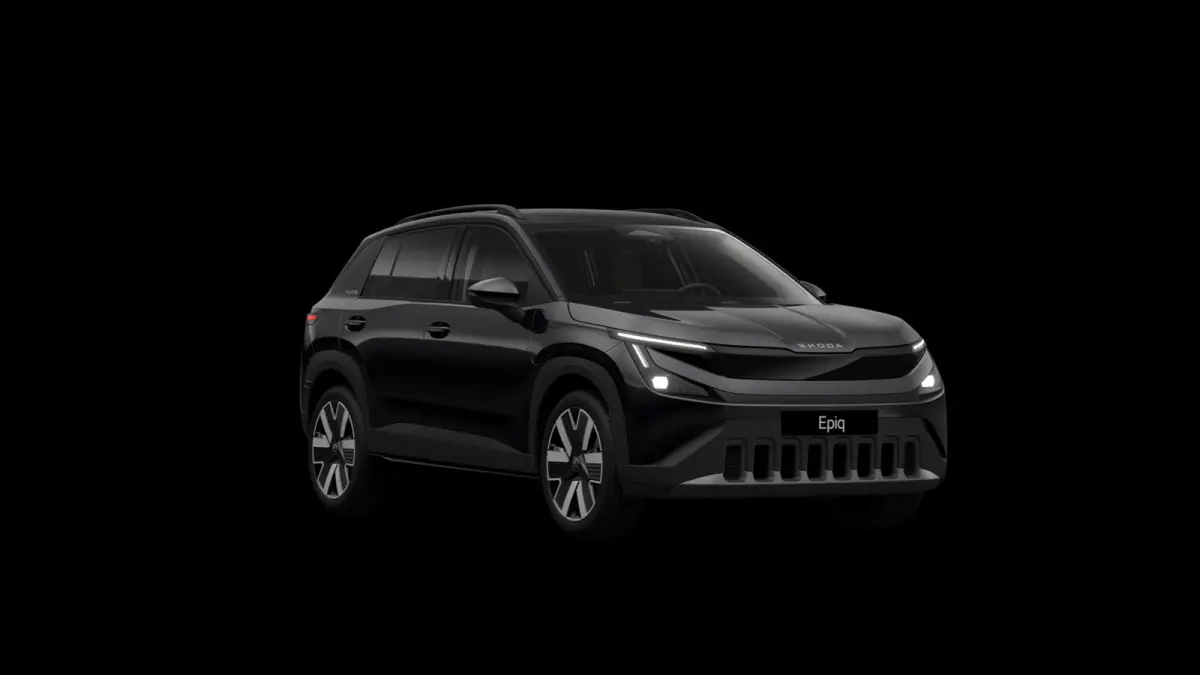 211pk Business Launch Edition 56 kWh | Light & View Pakket | Panoramadak