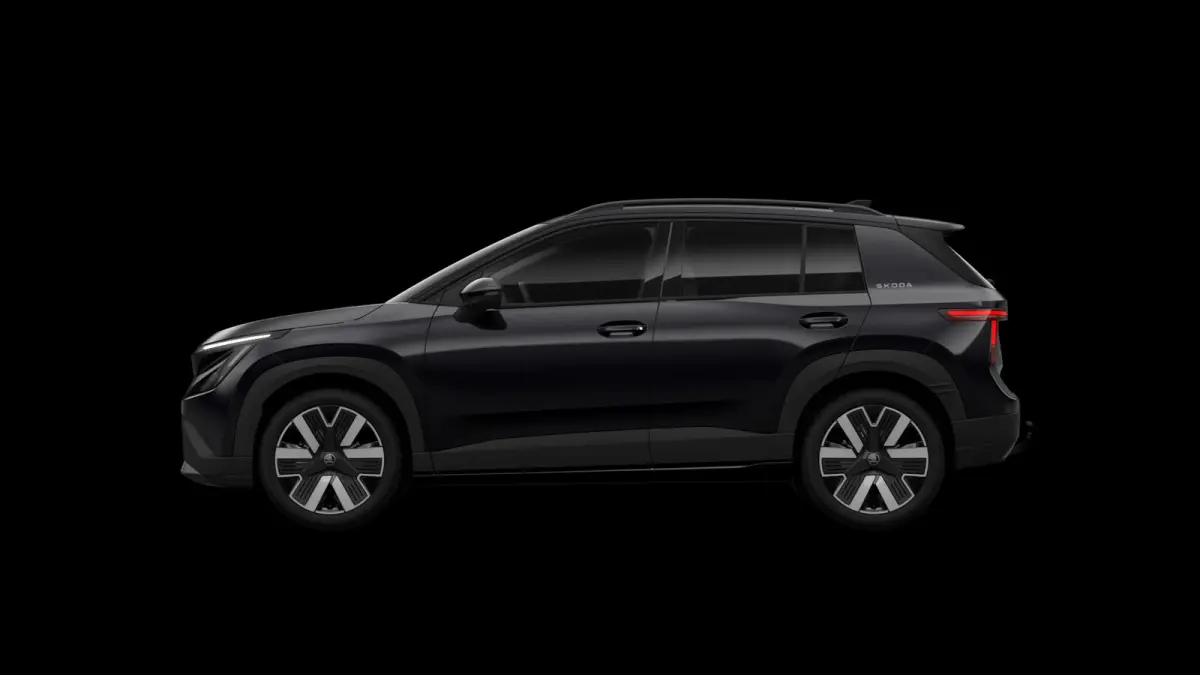 211pk Business Launch Edition 56 kWh | Light & View Pakket | Panoramadak