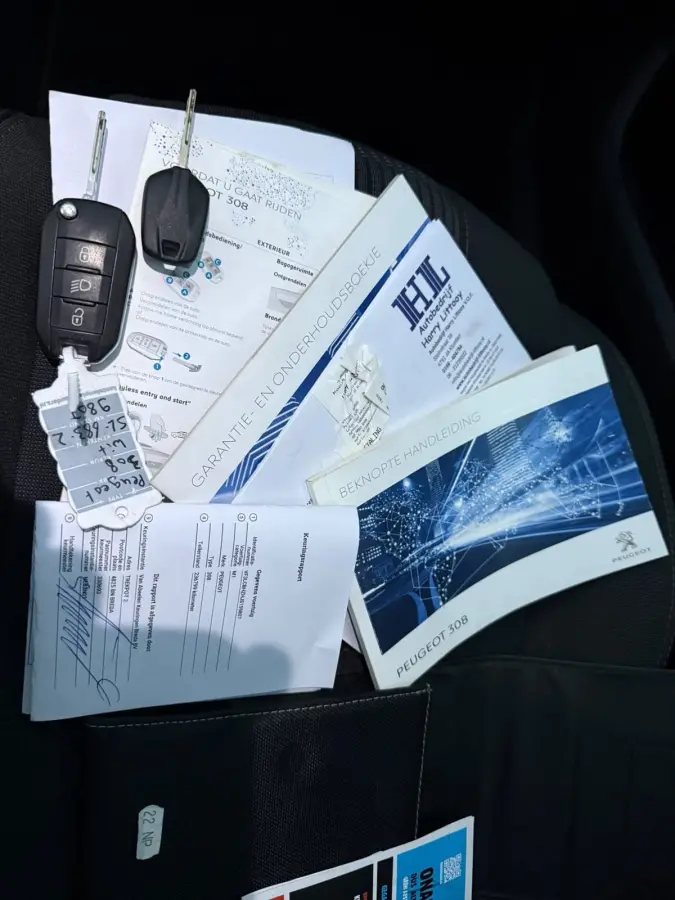 1.6 BlueHDI Blue Lease Executive|PANO|CARPLAY|PDC|TREKHAAK|NWE APK