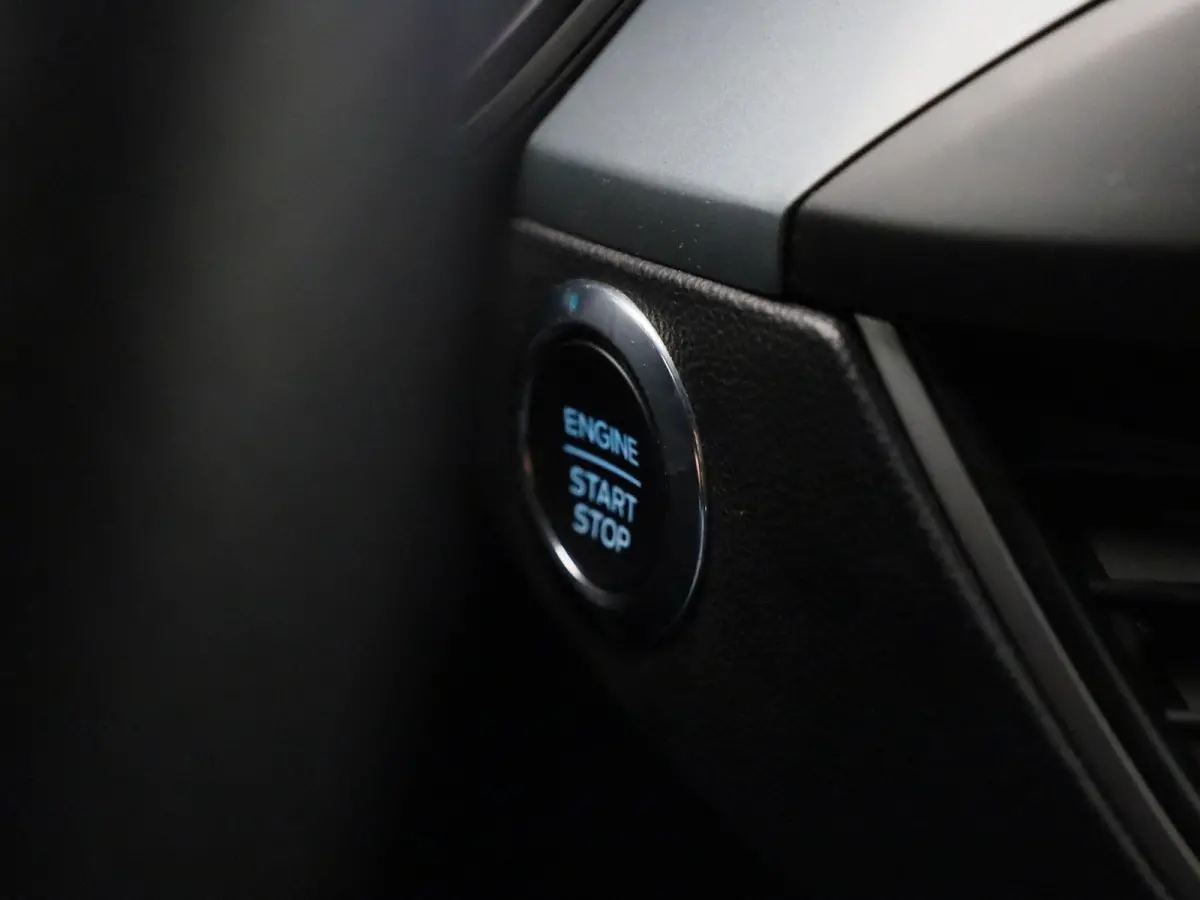 1.0 EcoBoost Hybrid ST Line Style | Trekhaak | Cruise Control | Winter Pack | Full LED | Keyless Entry&Go | Achteruitcamera |