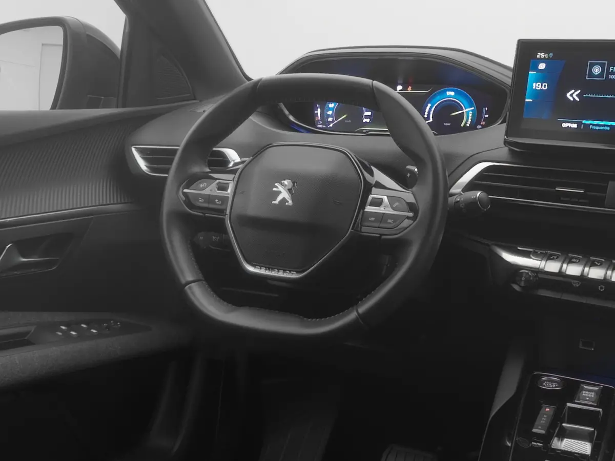 1.6 HYbrid 225 PK Automaat Active | CAMERA | CARPLAY