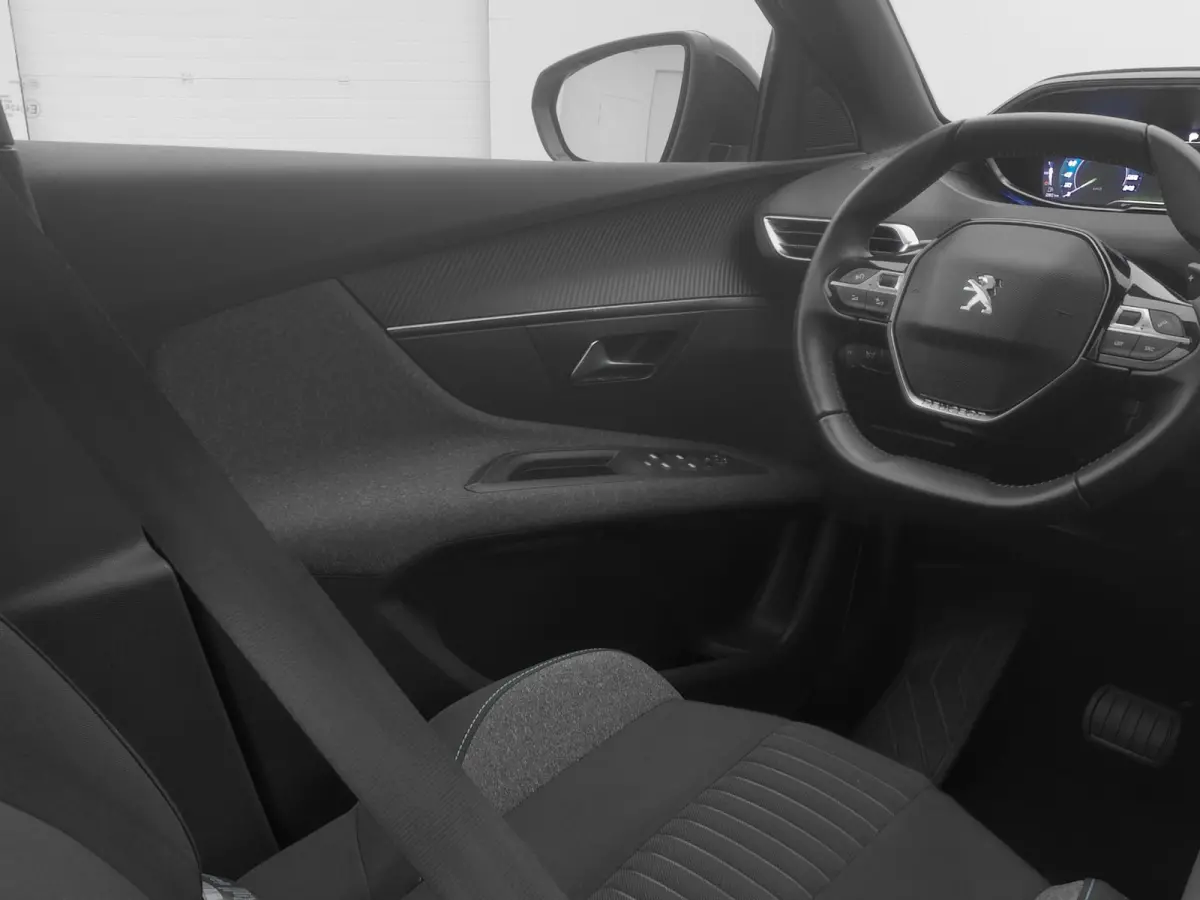 1.6 HYbrid 225 PK Automaat Active | CAMERA | CARPLAY