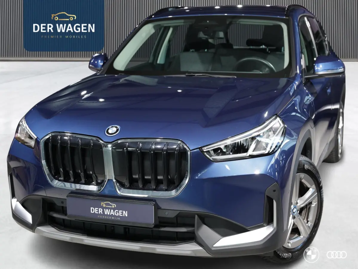 xDrive25e BUSINESS / CAMERA / TREKHAAK / CARPLAY / AMBIENTE / 18"