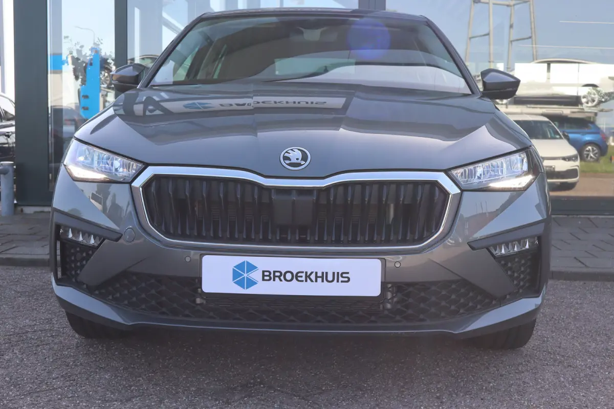 Business Edition | Achteruitrijcamera | Chromen raamlijsten | Cruise control met speedlimiter