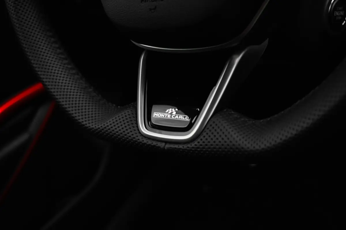Monte Carlo | Achteruitrijcamera | Cruise control met speedlimiter | Driver Activity Assistant, vermoeidheid waarschuwingssysteem