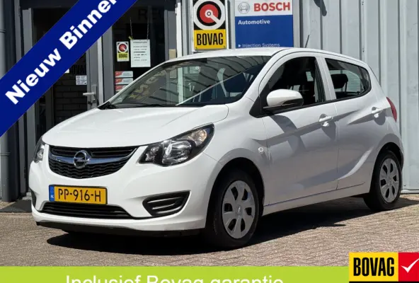1.0 ecoFLEX Edition | AIRCO | CRUISE | BLUETOOTH | ZUINIG |