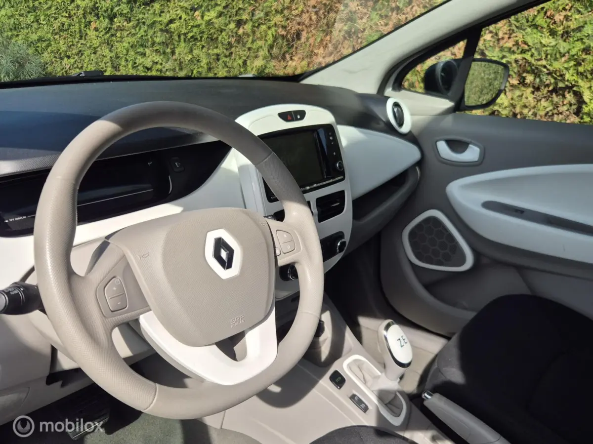 R90 Life 41 kWh KOOP ACCU GEEN Import