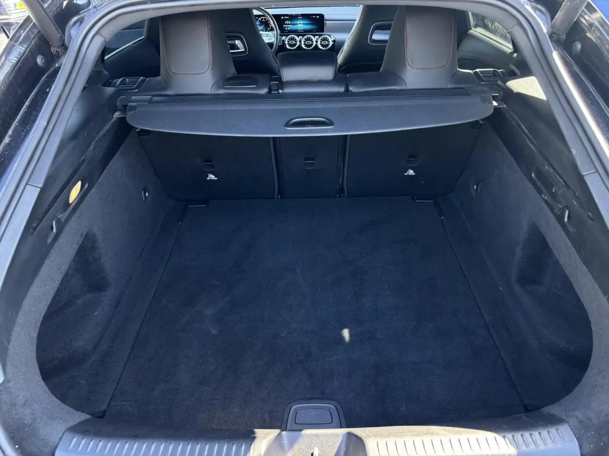 220 Advantage AMG cruise