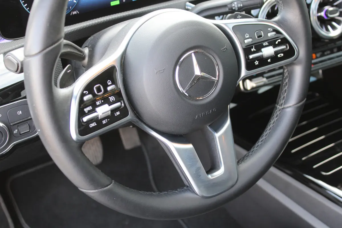250e AUT8 Luxury Line PANORAMADAK SFEER LEDER MULTIBEAM KEY-LESS GO