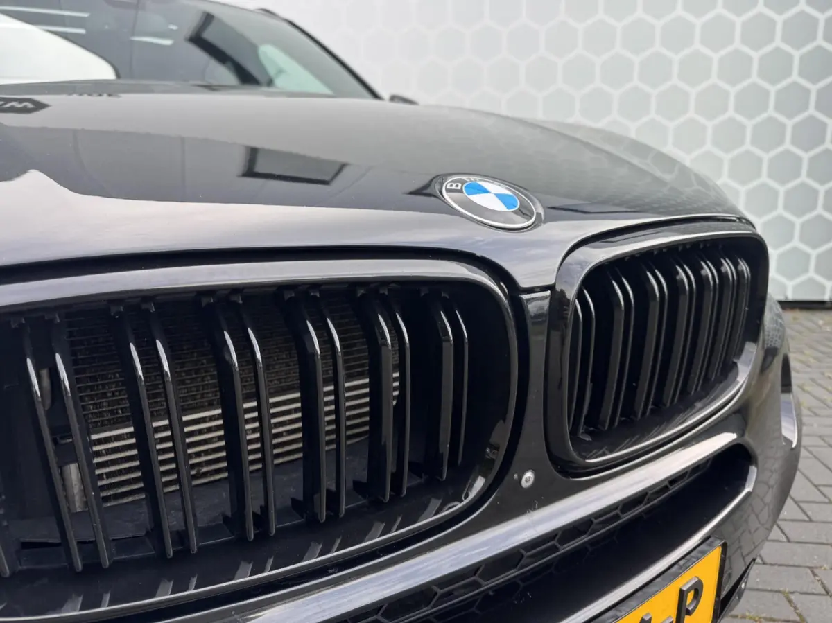xDrive40e High Executive Panoramdak Trekhaak Leer Led